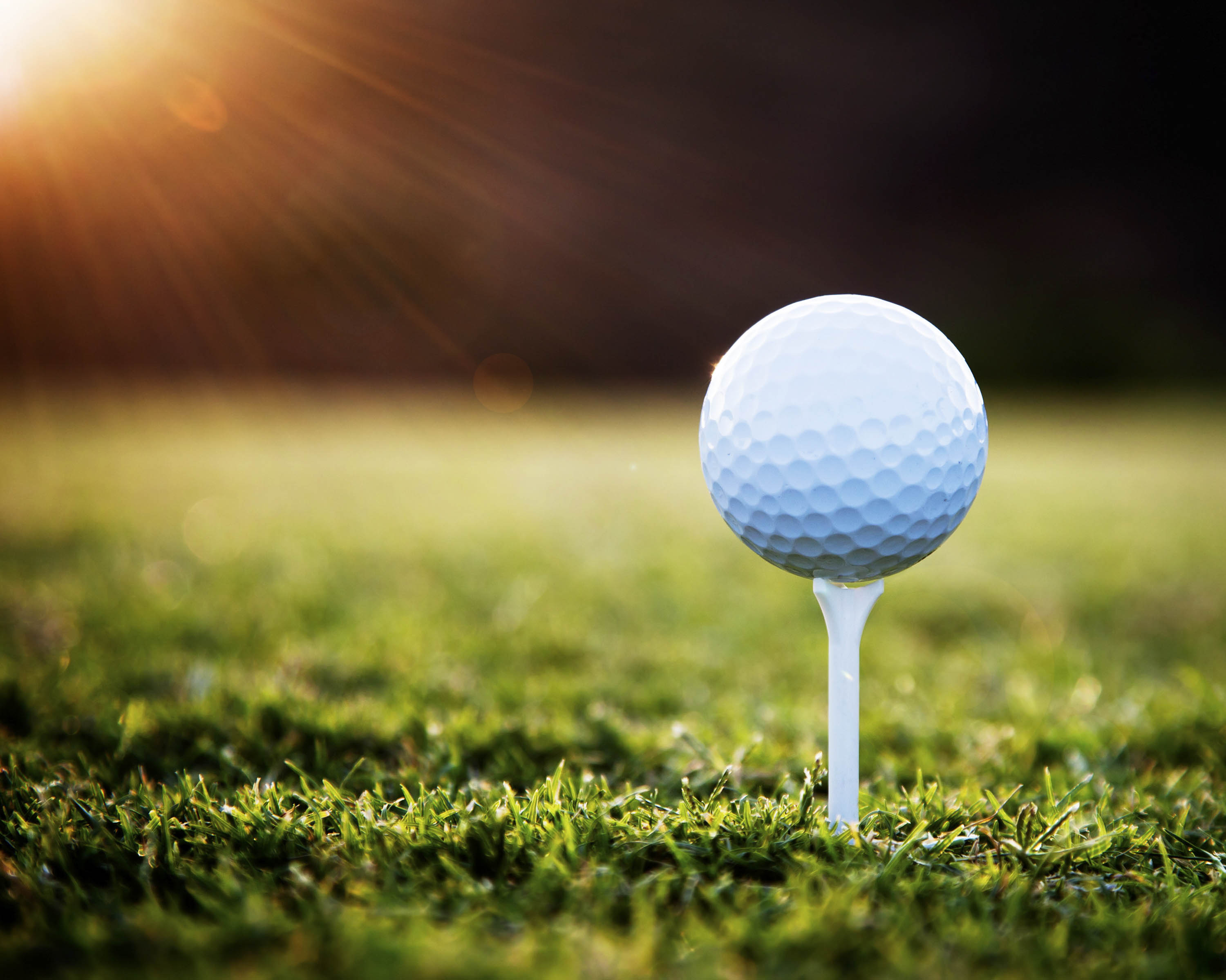 Close up of golf ball on tee